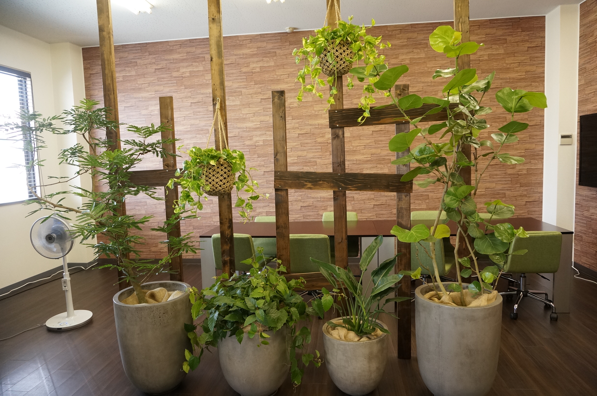 観葉植物が設置されました 東京 神奈川 千葉の展示会に対応 株式会社展示会ブース装飾